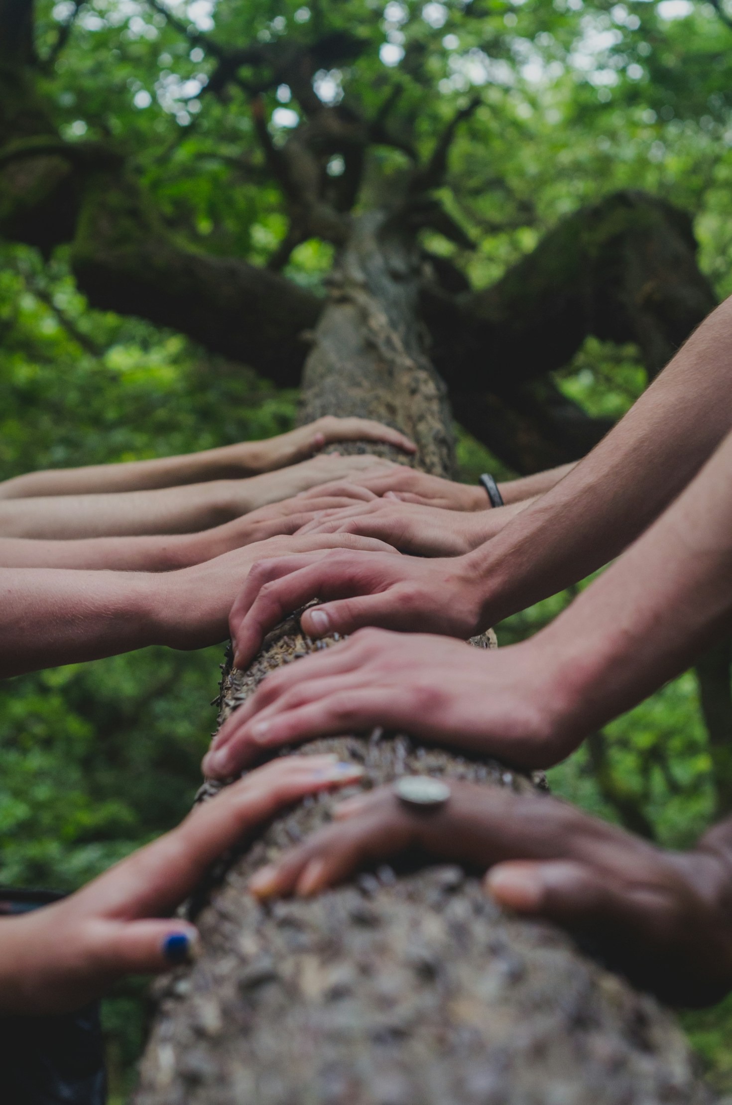 Funding the Future: Insights from Backerspark